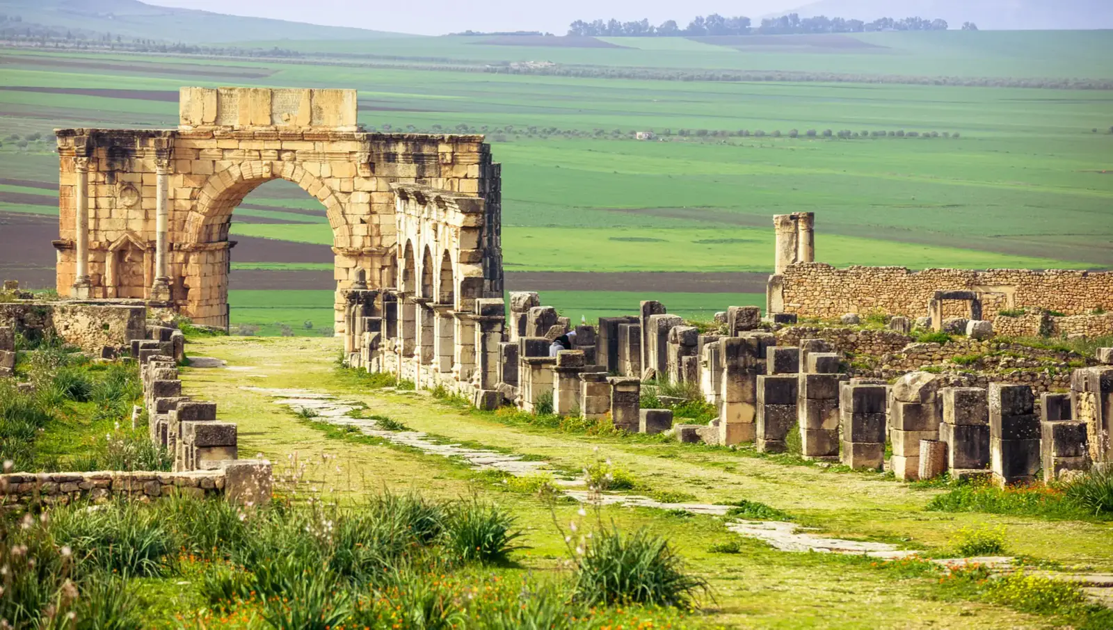 L’arco di Caracalla e la via principale di Volubilis, tra campi verdi