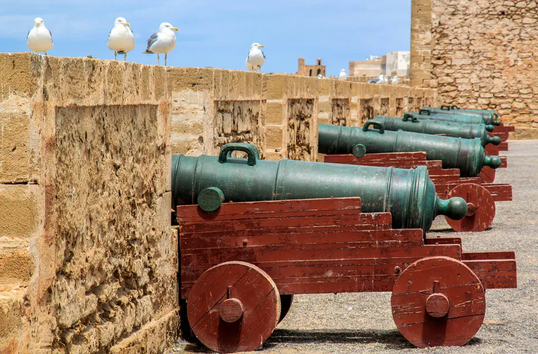 Cannoni di bronzo in fila sui bastioni di Essaouira, con gabbiani sul parapetto
