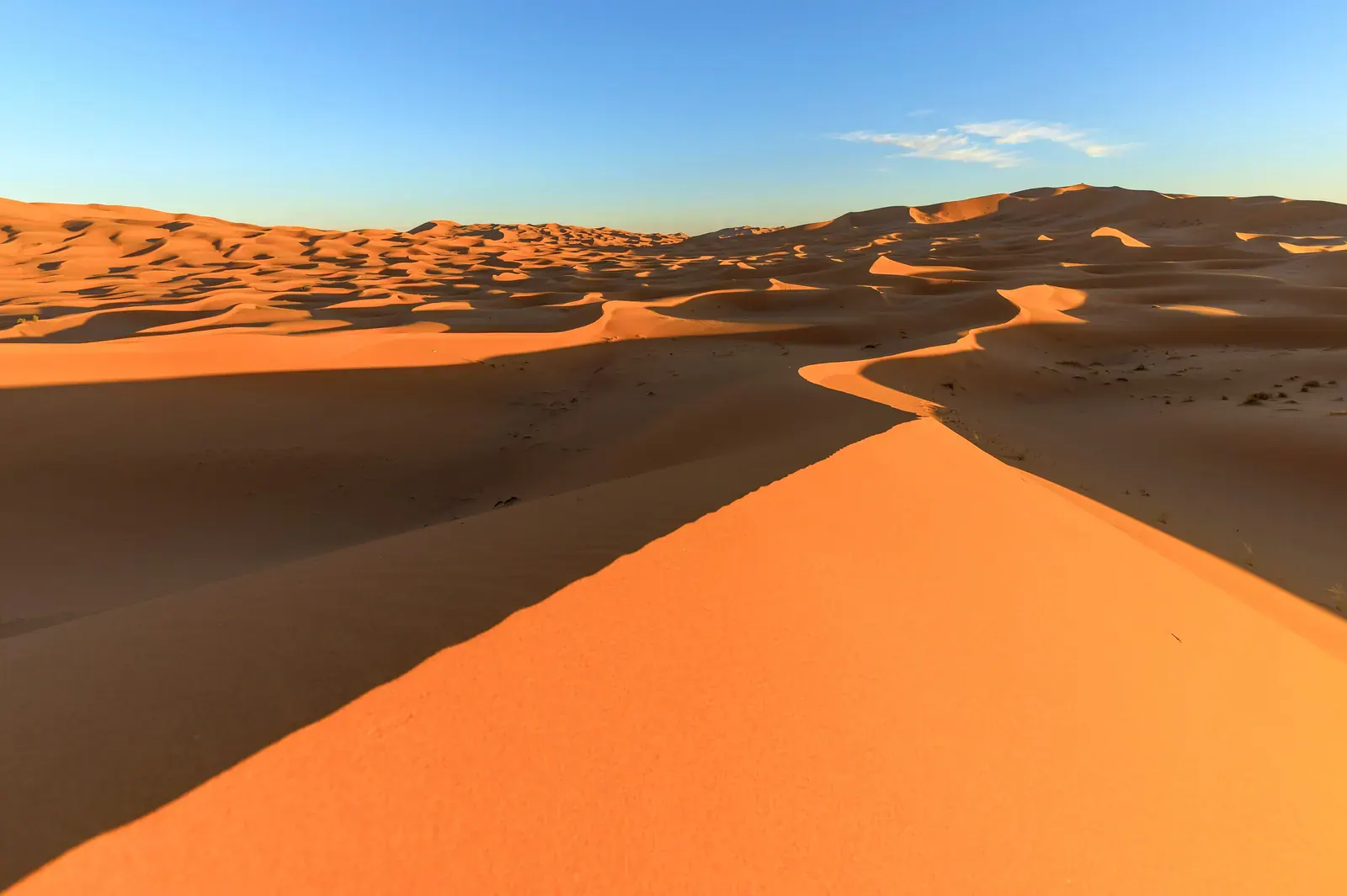 Cresta di una duna dell'Erg Chebbi illuminata dalla luce arancione del tramonto