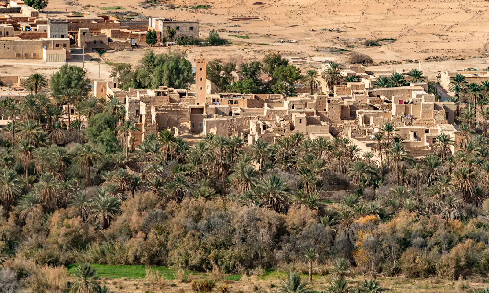 Uno ksar in terra cruda con il suo minareto tra le palme della valle dello Ziz