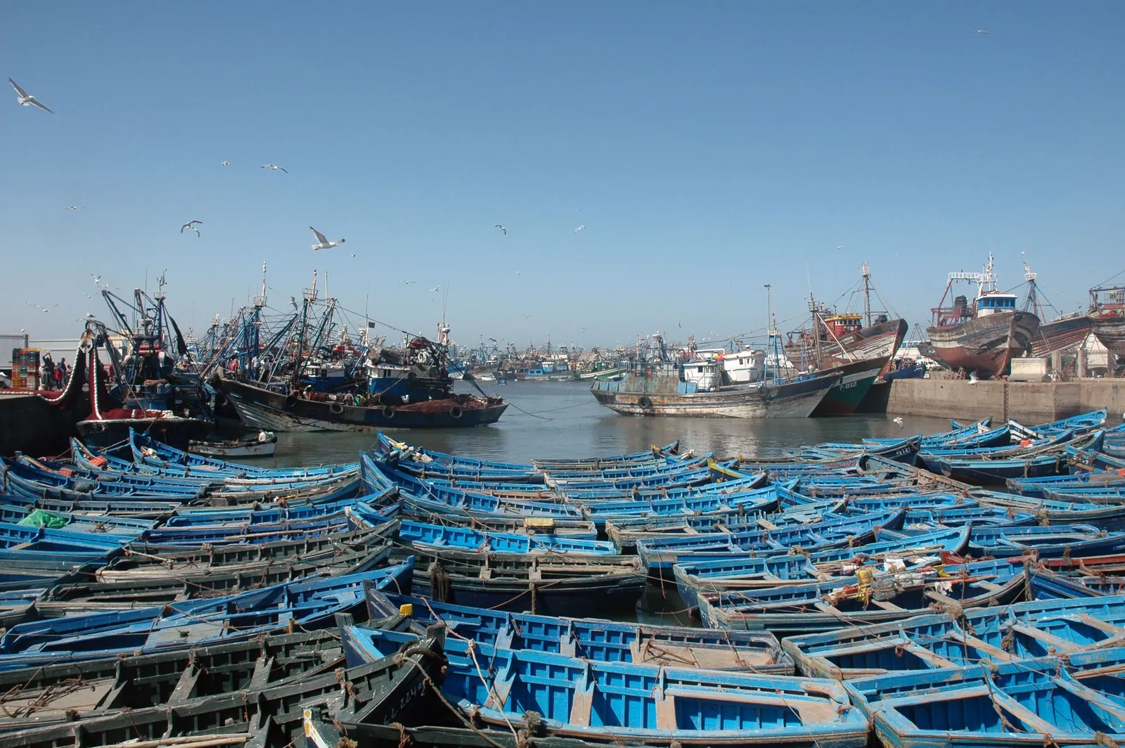 Barche da pesca blu ormeggiate nel porto di Essaouira