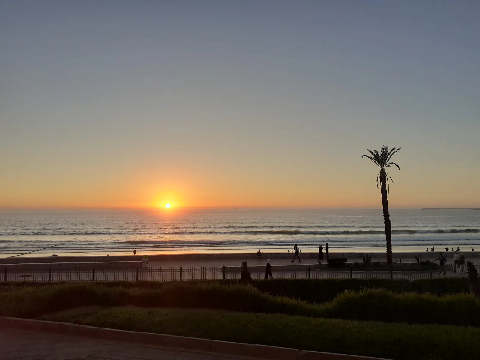 Tramonto sulla spiaggia di Agadir, con una palma accanto al lungomare