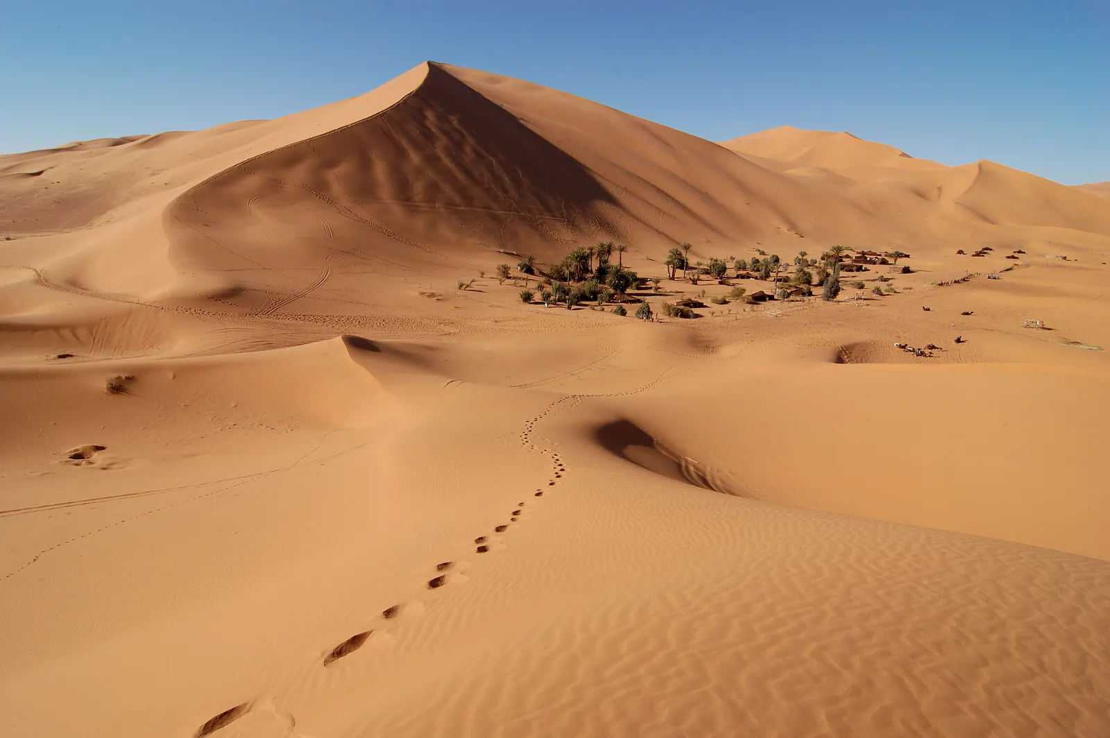 Un piccolo palmeto con alcune case ai piedi di una grande duna dell'Erg Chebbi, con impronte sulla sabbia