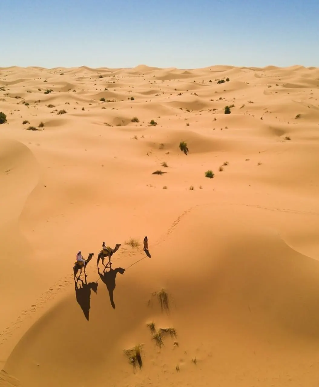 Vista aérea de una pequeña caravana de camellos y sus sombras en las dunas