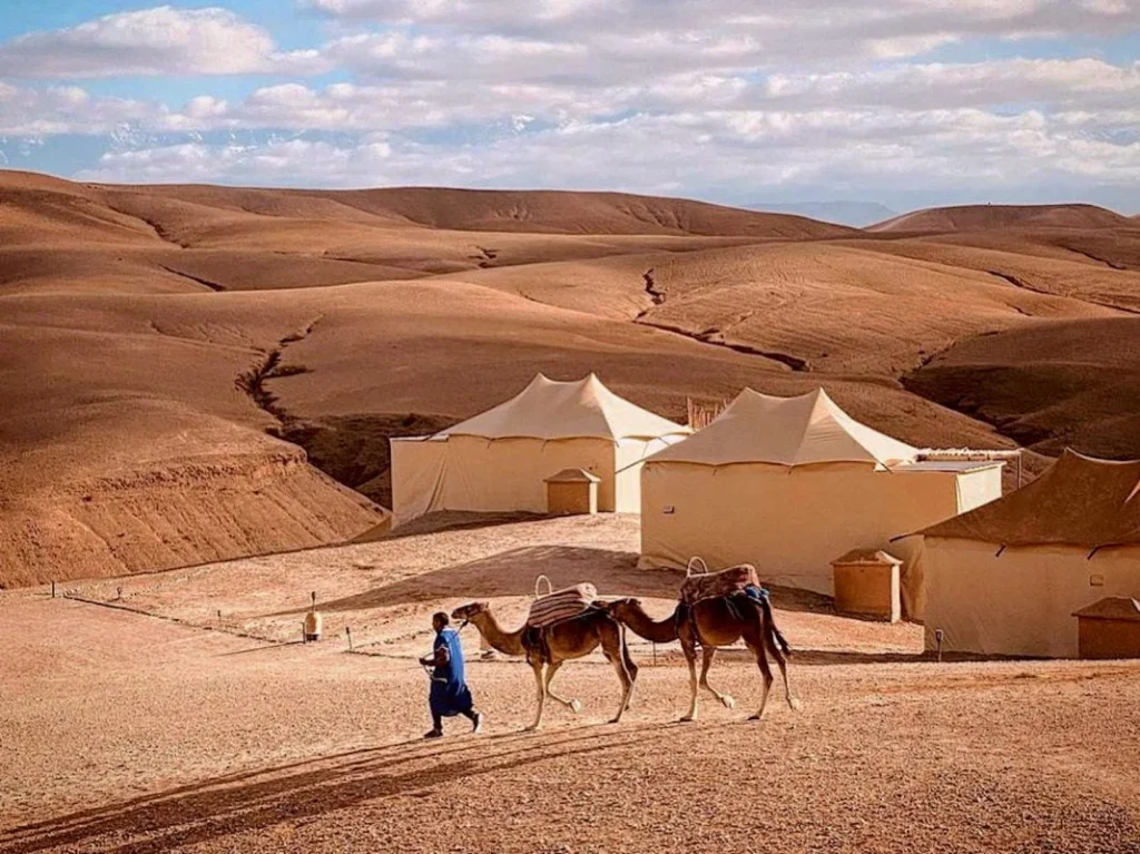 merzouga camel trek
