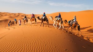 ruta de 2 días por el desierto desde Ouarzazate hasta Errachidiade-marrakech