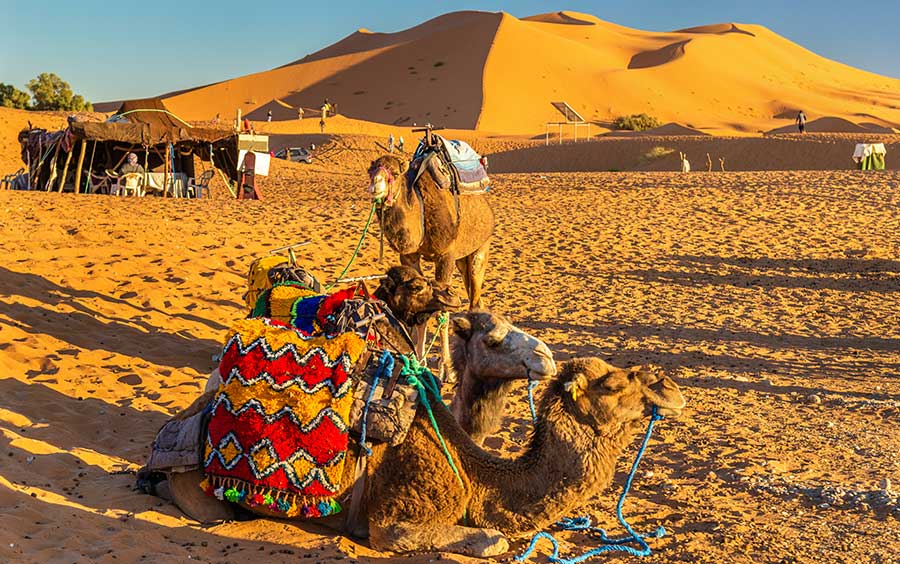 Merzouga Desert Camp | Best Desert Tours Morocco & Sahara Experience
