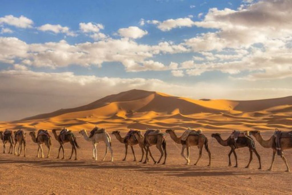 Tour desde Fez al Desierto del Sahara en Merzouga: 7 Días Increíbles por Marruecos