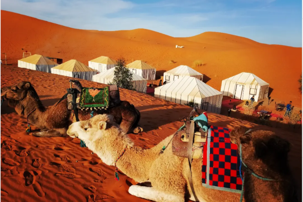 15 Increíbles Excursiones por Marruecos que Transformarán tu Viaje al Sahara