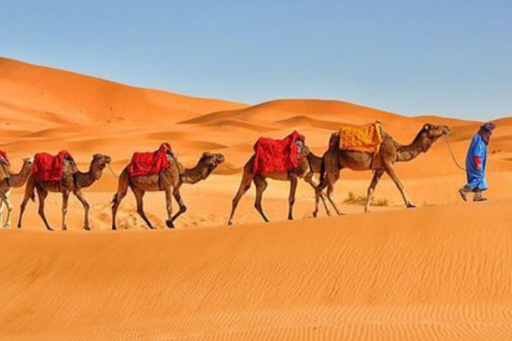 Tour de Fez a Merzouga: 10 Increíbles Experiencias en el Sahara de Marruecos