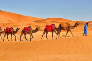 Tour de Fez a Merzouga: 10 Increíbles Experiencias en el Sahara de Marruecos