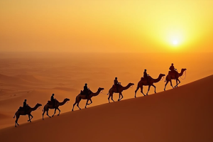 Las mejores excursiones desde Marrakech: tours inolvidables al desierto | Guía 2026